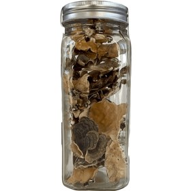 تصویر قارچ دم بوقلمون 