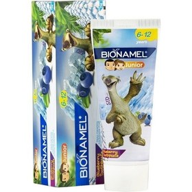 تصویر خمیر دندان کودکان بلوبری بایونمل 75 گرم BioNamel BlueBerry ToothPaste For Junior 75 g