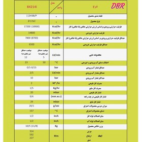 تصویر آبگرمکن دیواری بوتان BX214i