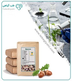 تصویر میوه بلوط خشک فله 