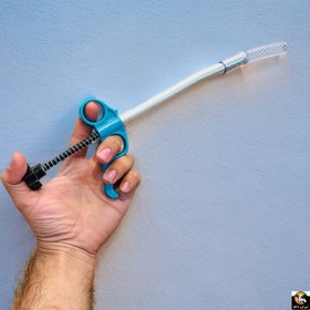 تصویر قرص خوران گاوی 