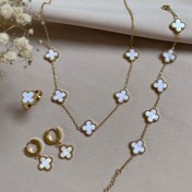 تصویر سرویس ونکلیف صدفی 