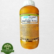 تصویر رانداپ طلایی کاوش 