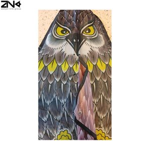 تصویر کایت طرح عقاب 