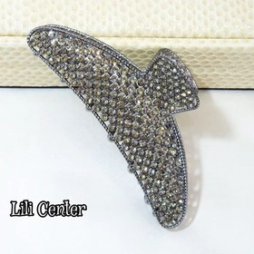 تصویر کلیپس مجلسی نگینی 