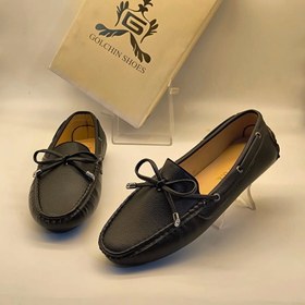 تصویر کالج پاپیونی 