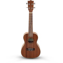 تصویر یوکللی STAGG 