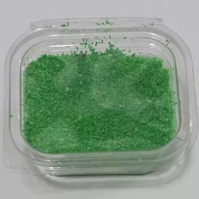 تصویر نارگیل رنگی سبز 