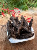 تصویر سنبل الطیب 