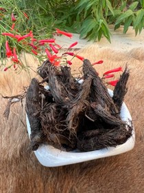 تصویر سنبل الطیب 