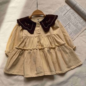 تصویر پیراهن چین دار دورنگ 