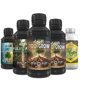 تصویر فروشگاه آشا اگری