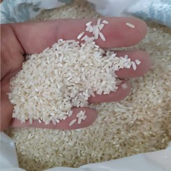 تصویر برنج سرلاشه فوق اعلا نیمدانه محصول فریدونکنار کشت دوم 10 کیلویی 