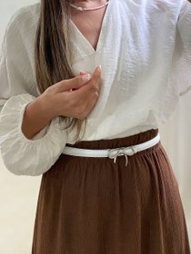 تصویر سگک پاپیونی 