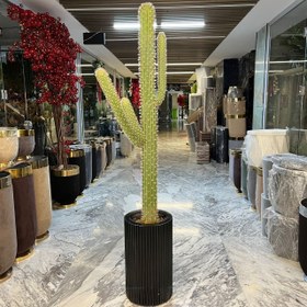 تصویر درختچه کاکتوس مصنوعی 