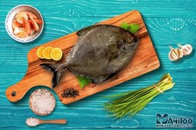 تصویر ماهی حلوا سياه 