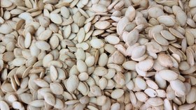 تصویر تخمه کدو گوشتی 