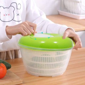 تصویر سبزی شور 