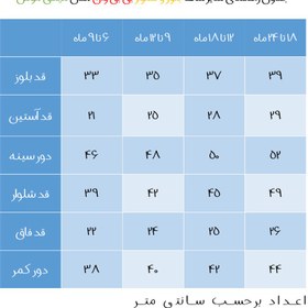 تصویر ست سویشرت و شلوار نوزادی بی بی وان مدل 220 -3 