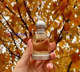 تصویر اسانس عطر هالووین بنفش زنانه iff انگلیس - ۵۰ میل Halloween women