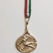 تصویر مدال ورزشی طرح یوزپلنگ 