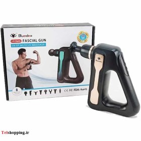 تصویر ماساژور برقی بلوایدیا مدل BL-888 masseur Blueidea BLD-888