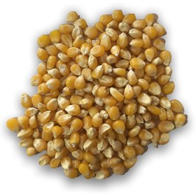 تصویر ذرت (500 گرم) 