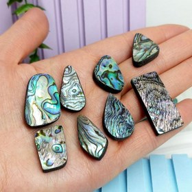 تصویر نگین صدف آبالون 