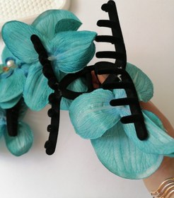 تصویر کلیپس ارکیده 160 