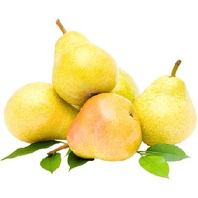 تصویر گلابی اعلا 