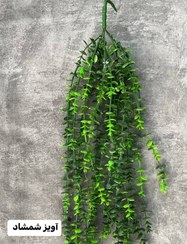 تصویر اویز شمشادی 