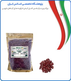 تصویر لوبیا قرمز ارگانیک 