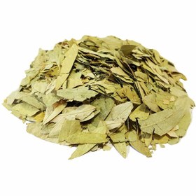 تصویر برگ سنا - 20 گرم senna