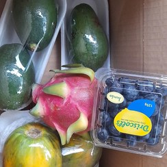 تصویر اواکادو، دراگون،بلوبری،پاپایا 