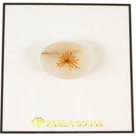 تصویر سنگ شجر پارلا گوهر کد 4076 