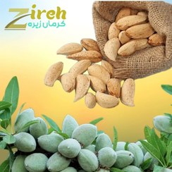 تصویر بادام سنگی درختی (بادام با پوست) شیرین کوهی ارگانیک 800 گرمی 