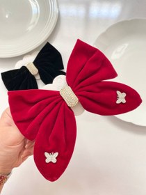 تصویر گیره انبری مجلسی - محدود 