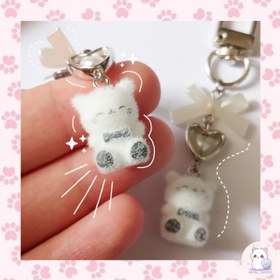 تصویر چارم پیشی ملوس - فونچارم 