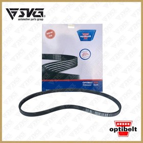 تصویر تسمه دینام ( موتور4PK-855 ) ( R3/TU5 ) پژو 206 آلمانی opti belt 