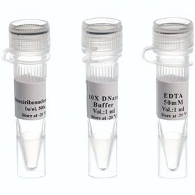 تصویر DNase I.Rnase-free500U. 5u/µl-MO5402 