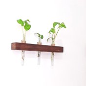 تصویر شلف چوبی مدل سوگل با سه ظرف شیشه ای 