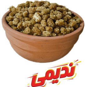 تصویر توت زورده - 500 