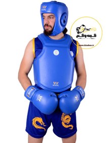 تصویر هوگو ویسینگ 