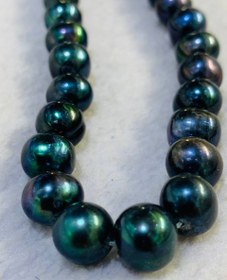 تصویر ریسه مرواريد پرورشى سیاه 