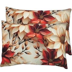 تصویر روبالشی سه بعدی ۲ عددی 