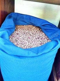 تصویر لوبیا چیتی خمین 