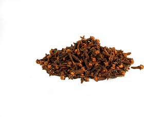 تصویر میخک نسابیده 