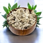 تصویر گیاه پولک 