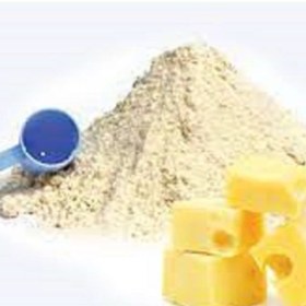 تصویر پودر پنیر پودری 100گرم 