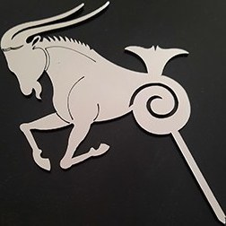 تصویر تاپر ماه دی 